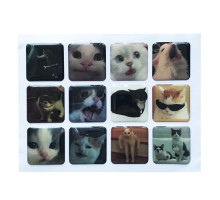 Набір наклейок 3D STICKERS Cat 3 mag-2000001626160142135