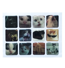 Набір наклейок 3D STICKERS Cat 3 mag-2000001626160142135
