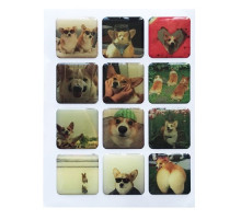 Набір наклейок 3D STICKERS Corgi 1 mag-2000001626177142136