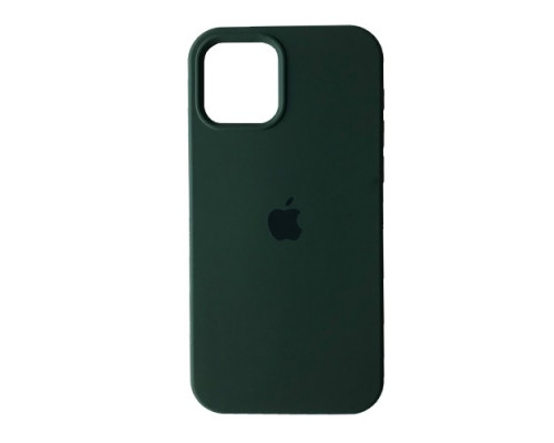 Чохол Silicone Case Full Copy for iPhone 12 Pro Max (64) cyprus green mag-20000012481023869