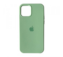 Чохол Silicone Case Full Copy for iPhone 14 Pro (68) fresh green mag-20000013980742764