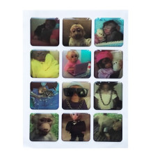 Набір наклейок 3D STICKERS Monkey 1 mag-2000001626184142137