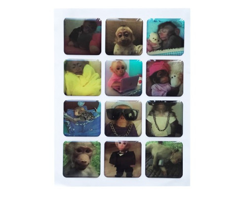 Набір наклейок 3D STICKERS Monkey 1 mag-2000001626184142137