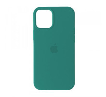 Чохол Silicone Case Full Copy for iPhone 13 Pro (61) cactus mag-20000013374312968