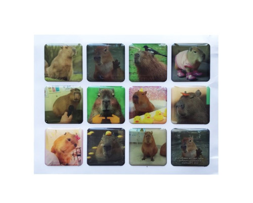 Набір наклейок 3D STICKERS Capybara 1 mag-2000001625996142118
