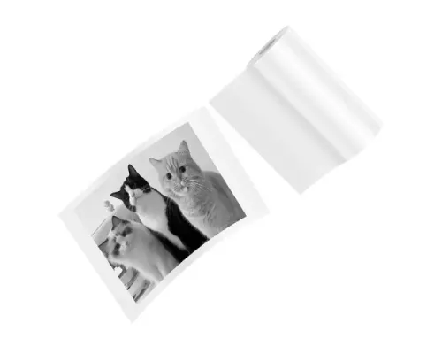Папір для друку на дитячому фотоапараті HOCO (5PCS) White mag-6942007645140144822