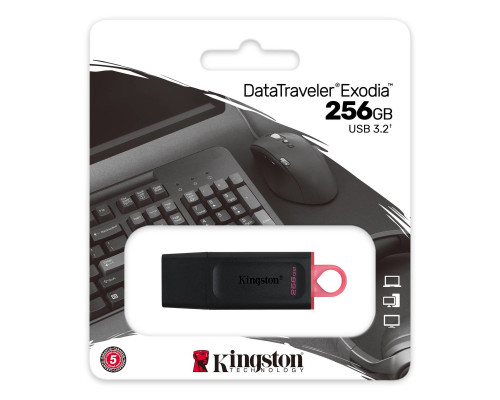 Flash Kingston USB 3.2 DT Exodia 256GB Black/Pink (DTX/256GB)