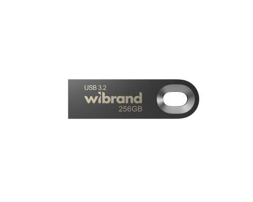 USB 3.2 Wibrand Gen1 Eagle 256Gb gray PLS-00-00155538