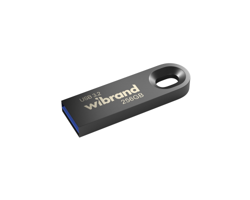 USB 3.2 Wibrand Gen1 Eagle 256Gb gray PLS-00-00155538