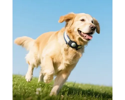 Брелок-анти втрата Hoco E91C Tiger intelligent positioning anti-lost device(pet collar type) mag-6942007663175145906