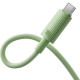 Кабель Baseus Habitat Series Fast Charging Cable USB to Type-C 100W 2m Natural Green (P10360203631-01)