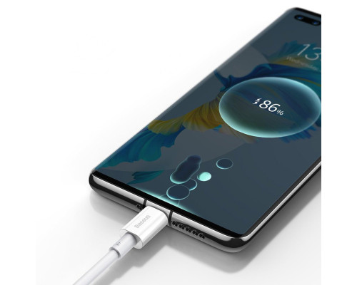 Кабель Baseus Superior Series Fast Charging Data Cable USB to Type-C 66W 2m White (CATYS-A02)