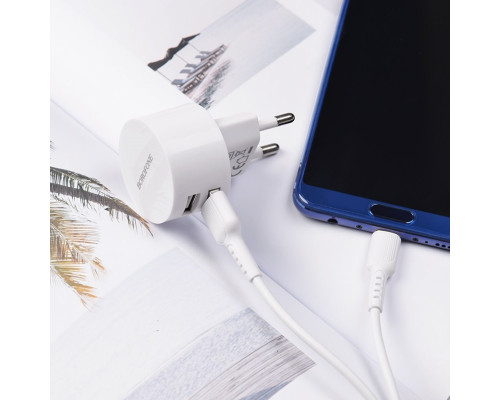 Мережевий зарядний пристрій BOROFONE BA23A Brilliant dual port charger set(Type-C) White