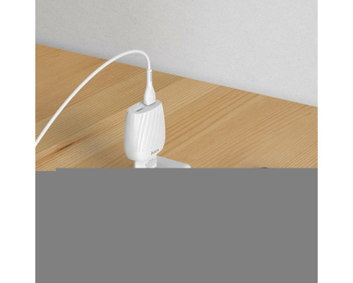 МЗП HOCO Max energy C78A |2USB, 2.4A White