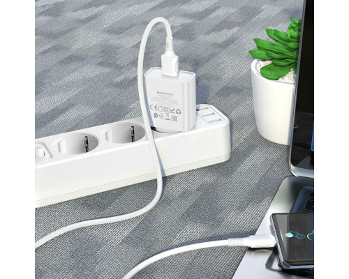 Мережевий зарядний пристрій BOROFONE BA74A Aspirer single port charger set(Type-C) White