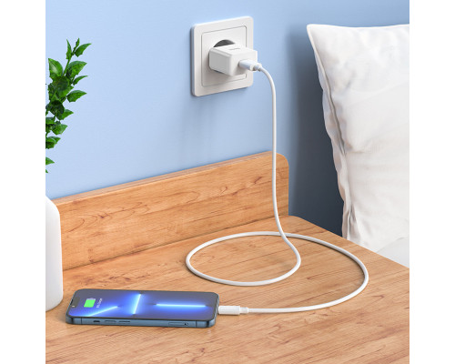 Мережевий зарядний пристрій HOCO C106A Leisure single port charger White