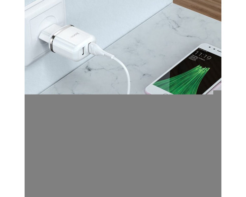 МЗП HOCO N4 2 USB 2.4A + кабель Micro USB White