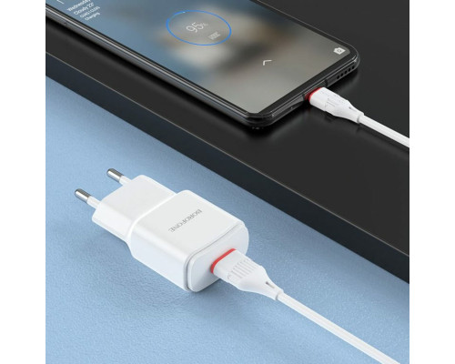 Мережевий зарядний пристрій BOROFONE BA48A Orion single port charger set(Type-C) White