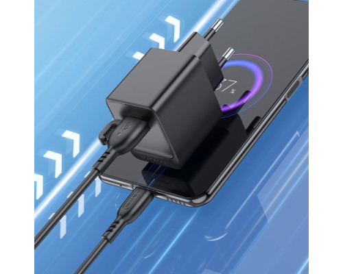 МЗП BOROFONE BAS11A Erudite single port 1USB/2.1A + Cable Micro чорний mag-6941991104633137597