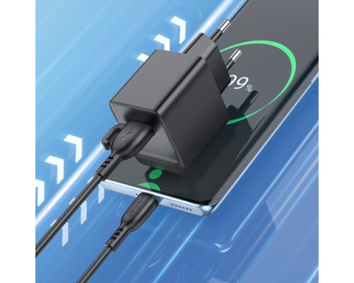 МЗП BOROFONE BAS11A Erudite single port 1USB/2.1A+ Cable Type-C чорний mag-6941991104657137599