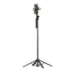 Монопод-трипод WiWU Live Broadcast Tripod Selfie Stick Wi-SE012 Black mag-6976975613177153568