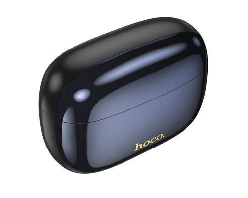 Бездротові навушники HOCO EQ20 Rhyme true wireless ANC+ENC noise reduction BT headset Black (6942007641319)