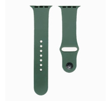 Ремінець для Apple Watch Silicone 42/44mm M (58) Pine green mag-2000001290699134558