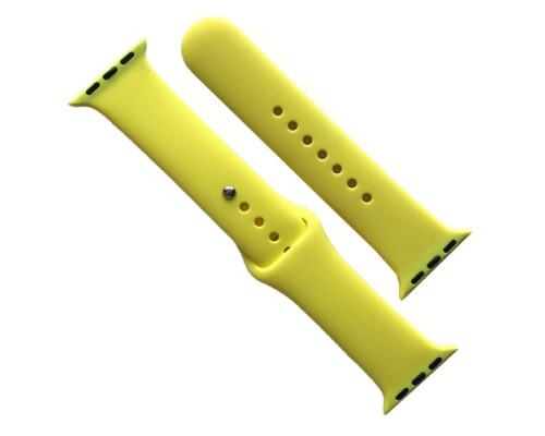 Ремінець для Apple Watch Silicone 38/40/41 2в1 (37) New yellow mag-2000001608135141640