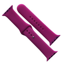 Ремінець для Apple Watch Silicone 38/40/41 2в1 (54) Dragon fruit mag-2000001608272141651