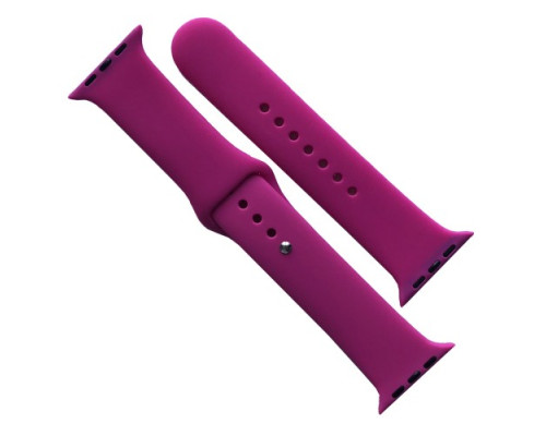 Ремінець для Apple Watch Silicone 38/40/41 2в1 (54) Dragon fruit mag-2000001608272141651