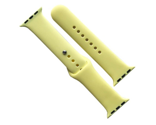 Ремінець для Apple Watch Silicone 42/44/45/46/49 2в1 (32) Flash mag-2000001608593141681