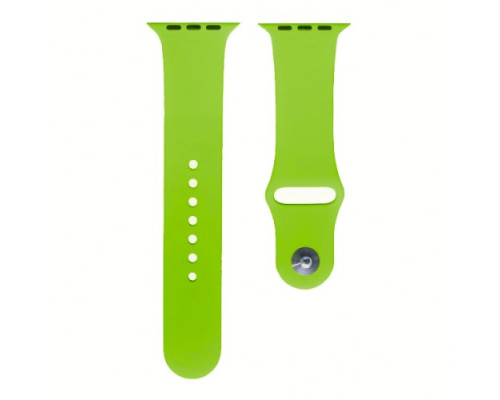 Ремінець для Apple Watch Silicone 42/44mm S (31) Lime green mag-200000103744757562