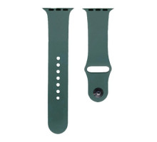 Ремінець для Apple Watch Silicone 42/44mm M (62) Cactus mag-2000001290729134560