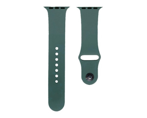 Ремінець для Apple Watch Silicone 42/44mm M (62) Cactus mag-2000001290729134560