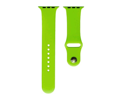Ремінець для Apple Watch Silicone 42/44mm S (59) Party green mag-20000012328804595