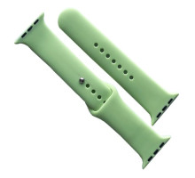 Ремінець для Apple Watch Silicone 42/44/45/46/49 2в1 (67) Avocado mag-2000001608852141704