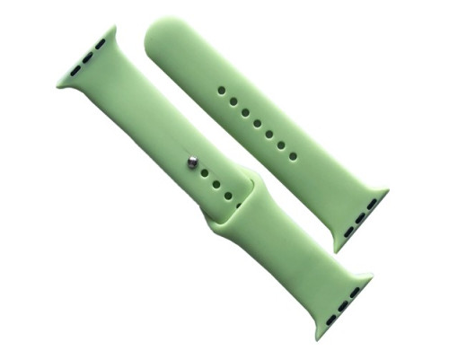 Ремінець для Apple Watch Silicone 42/44/45/46/49 2в1 (67) Avocado mag-2000001608852141704