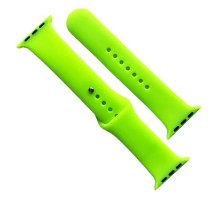 Ремінець для Apple Watch Silicone 38/40/41 2в1 (59) Party green mag-2000001608302141654