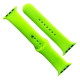 Ремінець для Apple Watch Silicone 38/40/41 2в1 (59) Party green mag-2000001608302141654