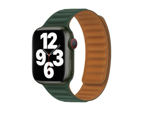 Ремінець Apple Watch HOCO iWatch WA21 Flexible 2-generation magnetic silicone 42-49mm Fir Green mag-694200760088039820