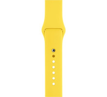 Ремінець для Apple Watch Silicone 42/44mm S (37) Flash mag-200000103748524557