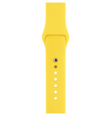 Ремінець для Apple Watch Silicone 42/44mm S (37) Flash mag-200000103748524557