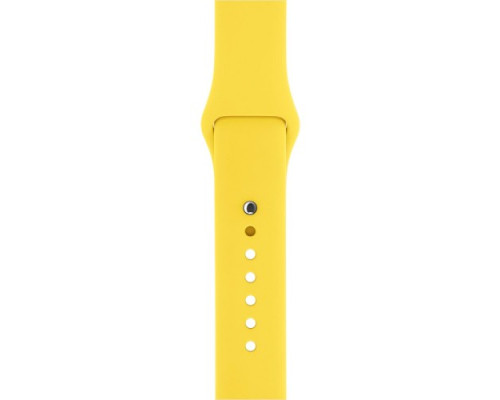 Ремінець для Apple Watch Silicone 42/44mm S (37) Flash mag-200000103748524557