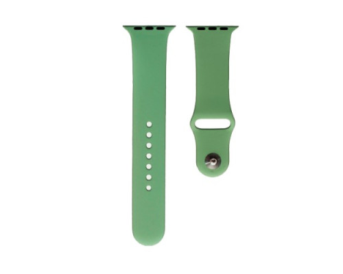 Ремінець для Apple Watch Silicone 38/40mm S (80) Fresh green mag-200000148584235548