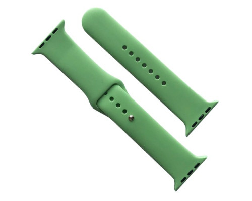 Ремінець для Apple Watch Silicone 42/44/45/46/49 2в1 ( 1) Green mag-2000001608418141665