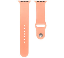 Ремінець для Apple Watch Silicone 42/44mm S (42) Flamingo mag-200000105575557578