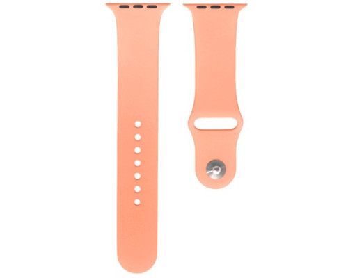Ремінець для Apple Watch Silicone 42/44mm S (42) Flamingo mag-200000105575557578