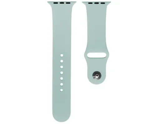 Ремінець для Apple Watch Silicone 42/44mm S (43) Light blue mag-2000001055762145424