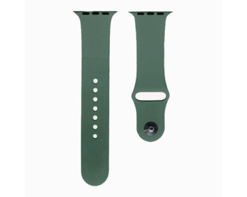 Ремінець для Apple Watch Silicone 42/44mm S (58) Pine Green mag-200000108217127155