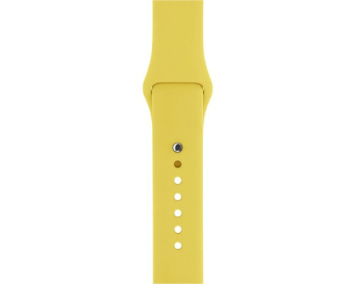 Ремінець для Apple Watch Silicone 38/40mm S (55) Canary yellow mag-200000103732424541